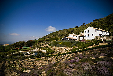 Country Hotel, Antequera, Andalucia, Spain