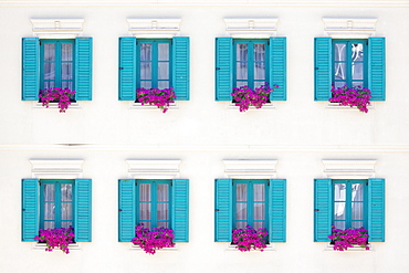 Windows and Window Boxes, Karlovy Vary, Czech Republic