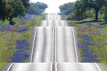 Scenic Country Road, Texas, United States of America