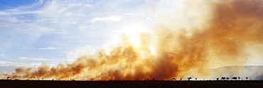 Controlled Burn Masai Mara Game Reserve, Masai Mara, Kenya, Africa
