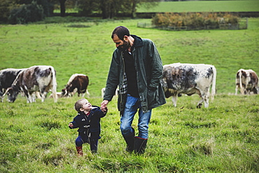 Man and young boy walking on a pasture, with English Longhorn cows in the background, Oxfordshire, England