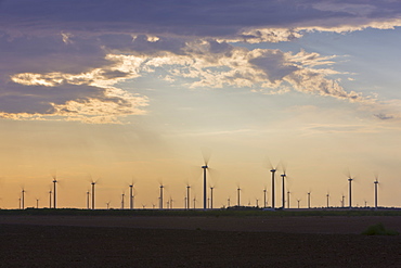 Wind Farm at Dusk, Roscoe, Texas, USA