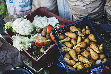 High angle close up of freshly harvested pears, cauliflowers and pumpkins in crates, Oxfordshire, England