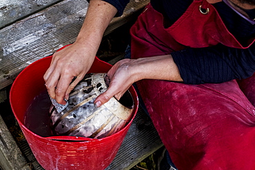 High angle close up of ceramic artist sitting next to red bucket with water, working on vase, England