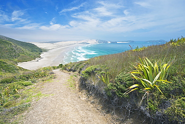 Dirt path on coastal hillside, Te Werahi, Cape Reinga, New Zealand, Te Werahi, Cape Reinga, New Zealand