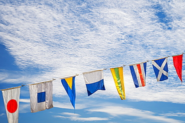 Flags flying against blue sky, Portland, Oregon, USA