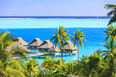 Palm trees overlooking tropical resort, Bora Bora, French Polynesia, Bora Bora, Bora Bora, French Polynesia