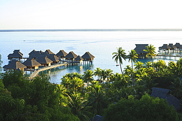 Palm trees overlooking tropical resort, Bora Bora, French Polynesia, Bora Bora, Bora Bora, French Polynesia