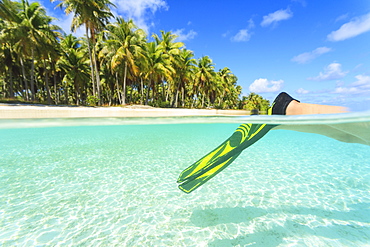 Diver's fins in tropical water, Bora Bora, French Polynesia, Bora Bora, Bora Bora, French Polynesia