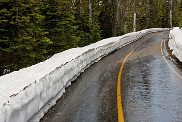 Snow piled up by rural road, Hurricane Ridge, Washington, USA