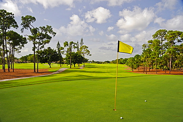 Golf balls by hole on putting green, Palm Beach, Florida, USA