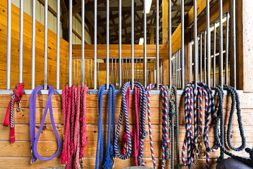 Ropes hanging from stalls in barn, Fairport, New York, USA