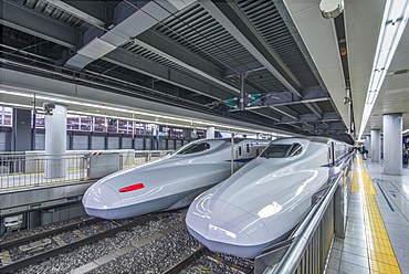 High speed trains in station, Tokyo, Japan