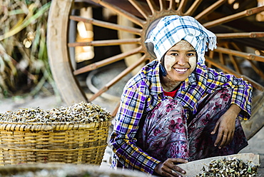 Asian girl selling herbs in market