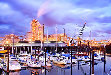 Yachts docked in harbor under illuminated city skyline, Seattle, Washington, United States