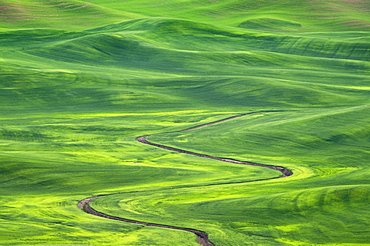 Winding irrigation ditch through rolling hills in rural landscape, Palouse, Washington, USA