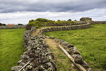 Elevated walkway between rural fields, Azores Islands, Flores, Portugal