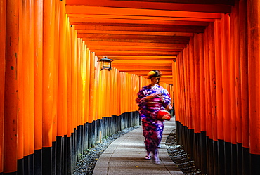 Woman in kimono walking under wooden pillars, Kyoto, Japan