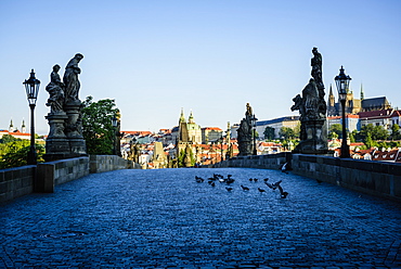 Pigeons on brick path in Prague cityscape, Czech Republic, Prague, Czechoslovakia