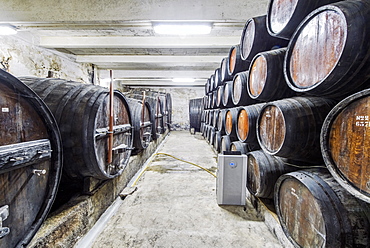 Barrels of wine aging in wine cellar, Peso da Regua, Vila Real, Portugal