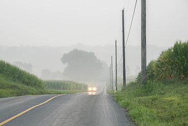 Car approaching on foggy two-lane road, Lancaster, Pennsylvania, USA