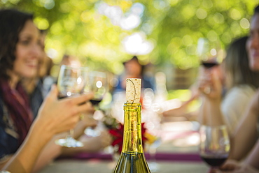 Cork in wine bottle near people drinking wine, Langly, Washington, USA