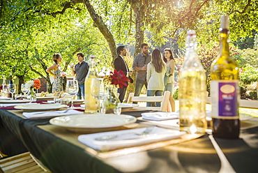 Wine bottles on table at party outdoors, Langly, Washington, USA