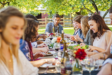 Friends enjoying wine at party outdoors, Langly, Washington, USA