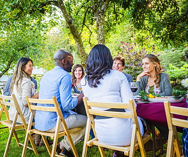 Friends enjoying wine at party outdoors, Langly, Washington, USA