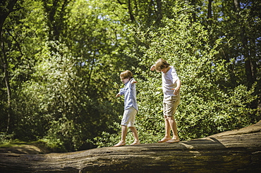 Two boys camping in the New Forest. Walking along a log above the water, balancing with their arms outstretched, Hampshire, England