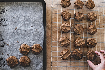 High angle close up of person removing freshly baked chocolate cookies from a baking tray, England