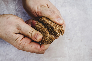 High angle close up of person breaking freshly baked chocolate cookie in half, England