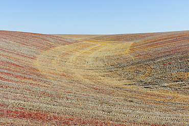 View of rolling hills and farmland, Palouse County, Washington, USA