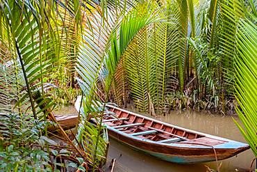 Traditional boat moored in between palm trees in the Mekong Delta, Vietnam