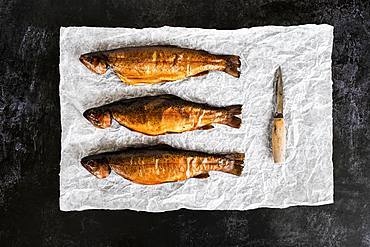 High angle close up of three freshly smoked whole trout and a knife on a white paper