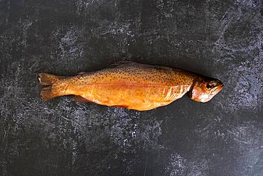 High angle close up of one freshly smoked whole trout on black slate