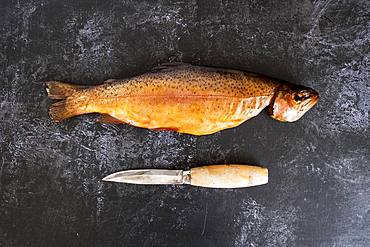 High angle close up of one freshly smoked whole trout and a knife on black slate