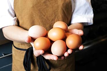 High angle close up of person wearing apron holding fresh brown eggs