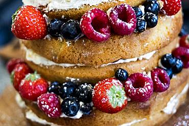 Close up of a freshly baked sponge cake layered with fresh cream and fresh fruit