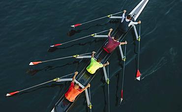 High angle view of unrecognizable male crew racers, Lake Union, Seattle, Washington