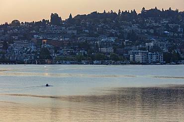 Crew racers rowing double scull boat on Lake Union at dawn, Seattle, Washington, United States of America