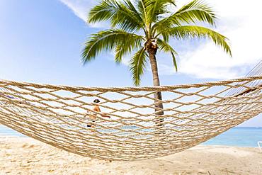 Hammock on a sandy beach, on a tropical island , Grand Cayman, Cayman Islands