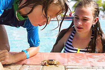 sibling at poolside looking at small crab, Grand Cayman, Cayman Islands