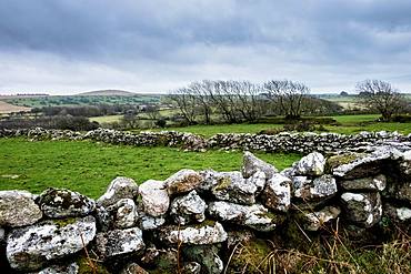 Landscape with dry-stone wall dividing fields, row of trees and hills in the distance