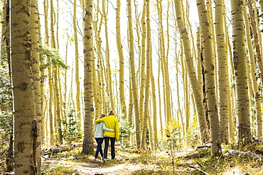 rear view of mother and her teen age daughter hiking in the autumn aspens