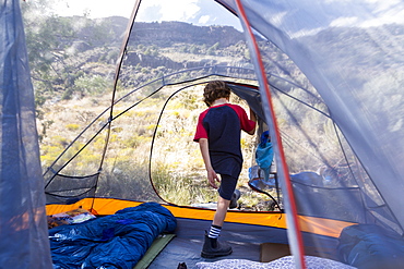 Six year old boy exiting tent in early morning light