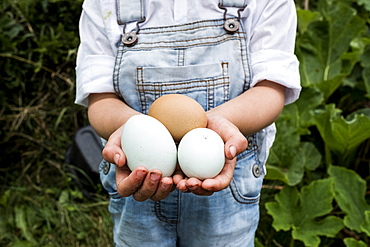 Close up of girl standing outdoor, holding three freshly laid eggs in her hands