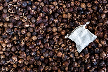 High angle close up of dried brown soap nuts