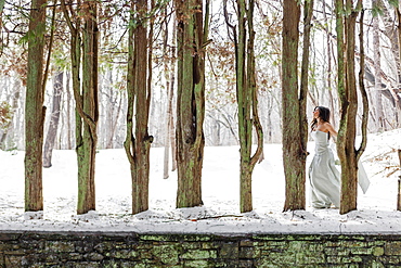 A woman in a ball gown outdoors in the snow, Wallingford, Pennsylvania, USA