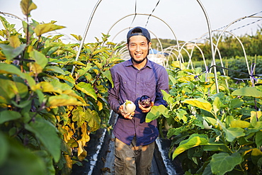 Japanese man wearing cap standing in vegetable field, holding aubergines, smiling at camera, Kyushu, Japan